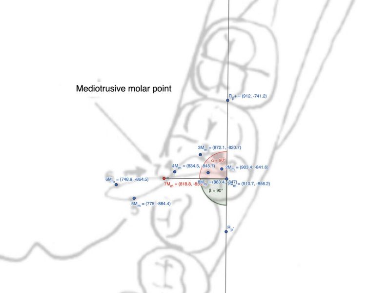File:1131px-Figura Molare Mediotrusivo.jpg
