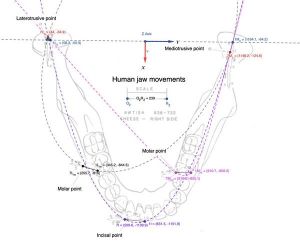 600px-1864px-Conica (1).jpg