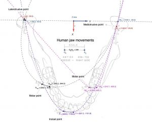 1166px-1864px-Conica.jpg