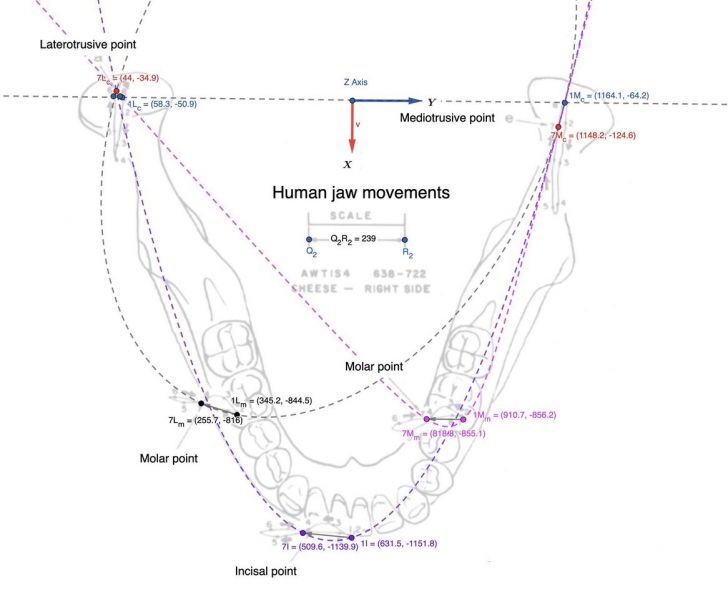 File:1166px-1864px-Conica.jpg