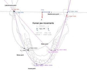 486px-1864px-Conica.jpg