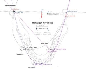 1198px-1864px-Conica (1).jpg