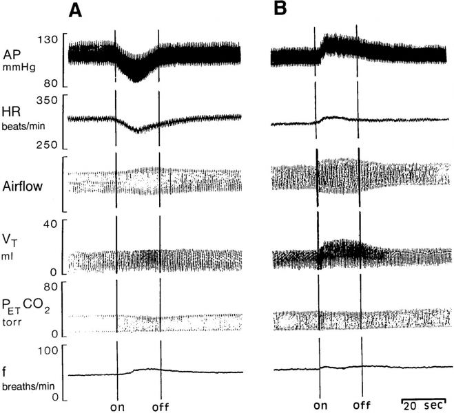 File:Kreceptor.jpg
