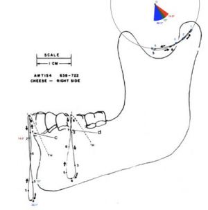 394px-Sirignathograph rotazione asse Y.jpg