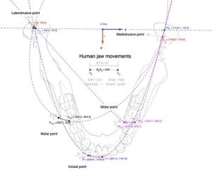 599px-1864px-Conica (1).jpg