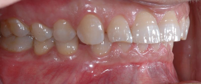 File:Foto del 29012009 004.jpg