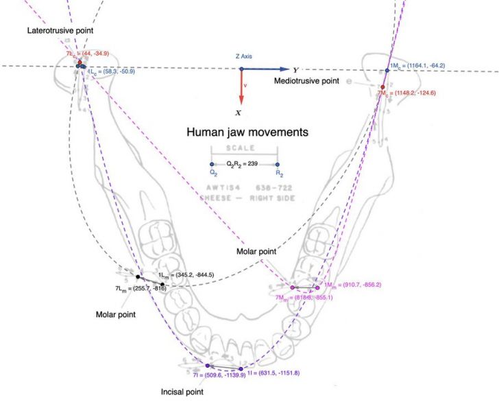 File:899px-1864px-Conica (1).jpg