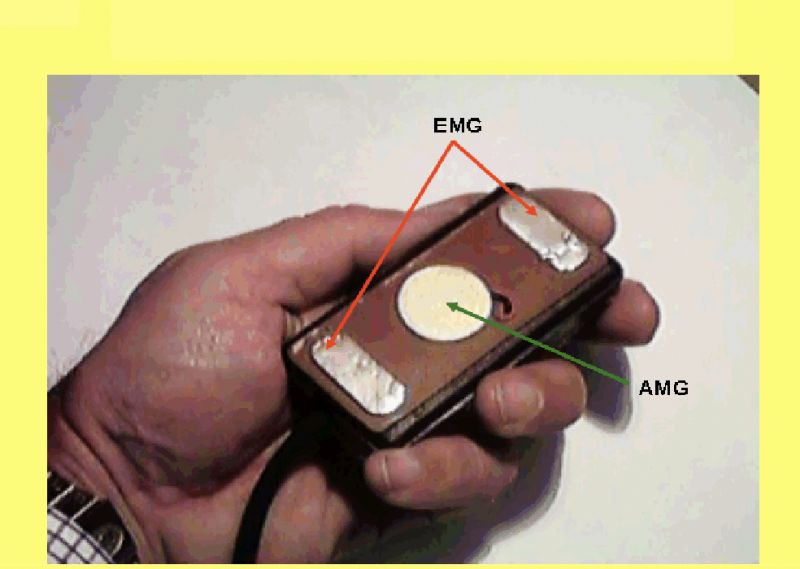 File:FIGURE 3 (ACCORNERO).jpg