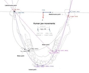 1200px-1864px-Conica (1).jpg