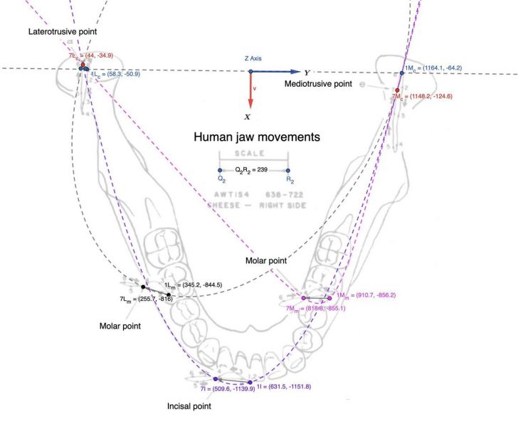 File:1200px-1864px-Conica (1).jpg