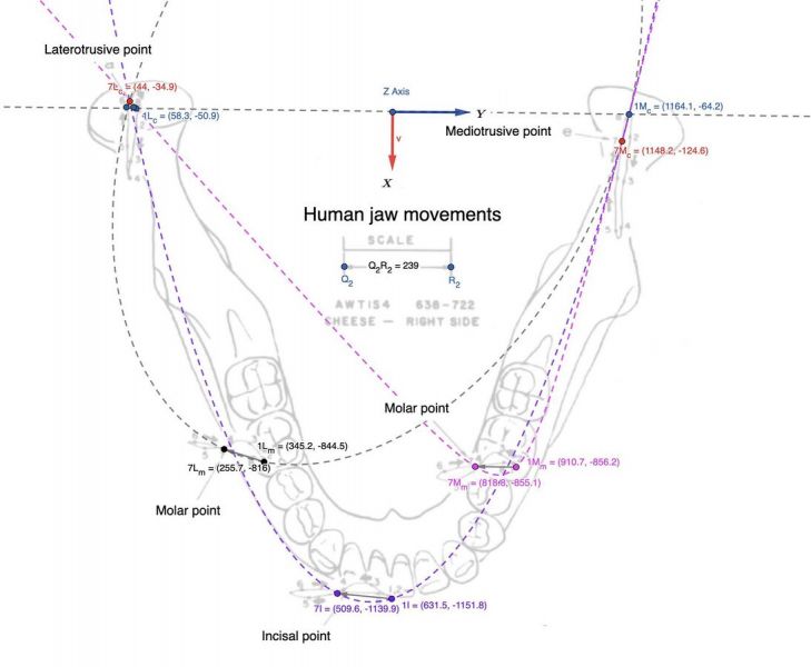 File:1094px-1864px-Conica (1).jpg