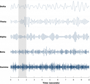 EEG Brainwaves.png
