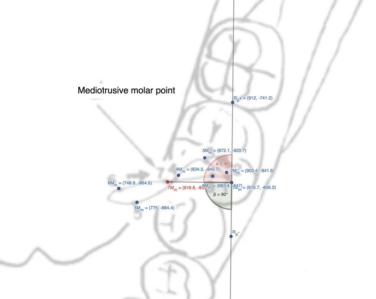 File:1508px-Figura Molare Mediotrusivo.jpg