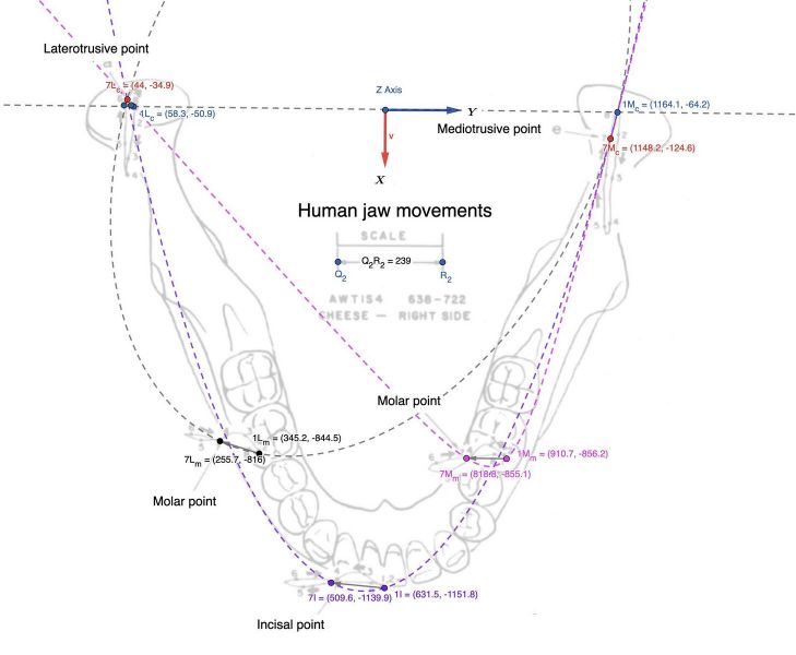 File:1458px-1864px-Conica (1).jpg