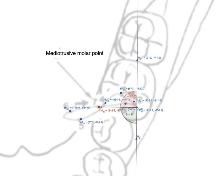 File:2560px-Figura Molare Mediotrusivo.jpg