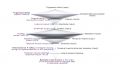 Miniatura della versione delle 10:32, 14 feb 2025