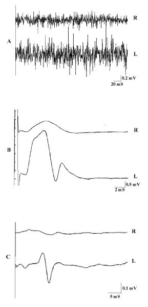 File:FIGU01.jpg